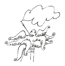 chobotnice
